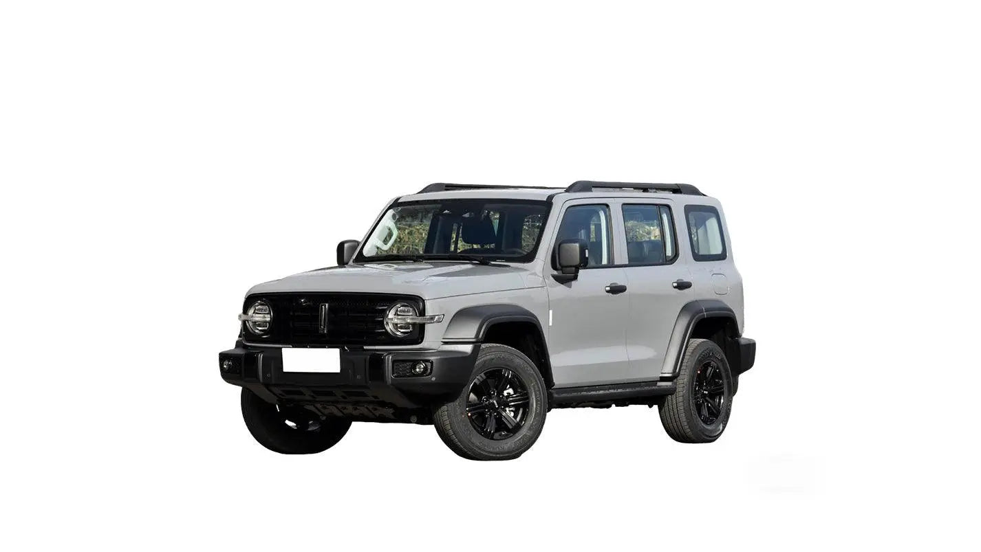 2024 GWM TANK300 Hybrid SUV Gray - LUM Auto